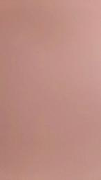 Ruggeddd webcam model stream image