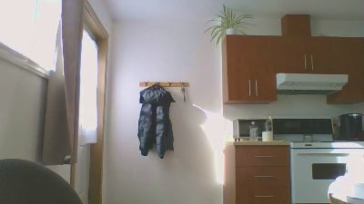 Tes0r0James webcam model stream image