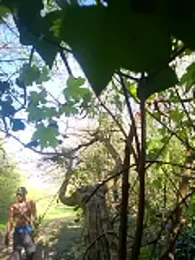 sweet_juicem webcam model stream image