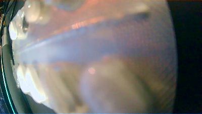 laborde_7 webcam model stream image