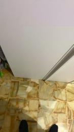 analflo webcam model stream image