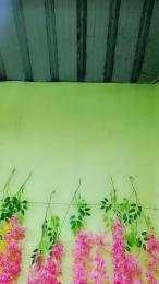 garcia207 webcam model stream image