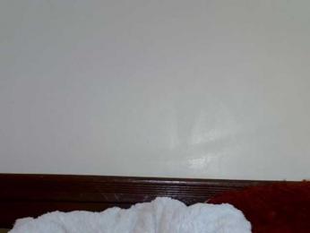 Freakybarbie- webcam bongacams model stream image