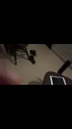 CoupleHotLatinBigAss webcam model stream image