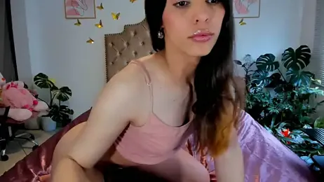 bella_grego webcam stripchat model stream image