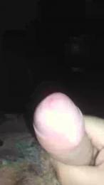 gemmy webcam model stream image