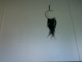 bamacpl80 webcam model stream image