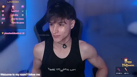 thomklein webcam model stream image
