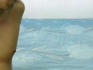 holycode webcam model stream image