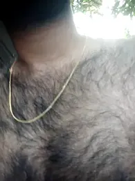SL_BEAR webcam model stream image
