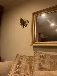 brotein369 webcam model stream image