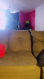 Roxannepiggy webcam cam4 model stream image