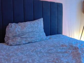 lena___ webcam model stream image