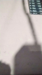 latin_master1 webcam model stream image