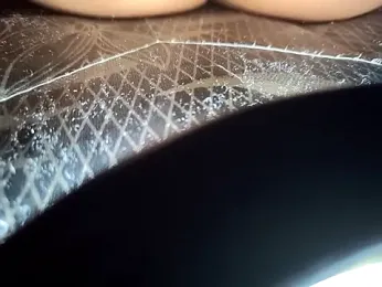 BrissPLUG8 webcam model stream image