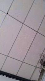 sofijohansx webcam model stream image