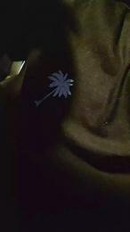 comic_king420 webcam model stream image