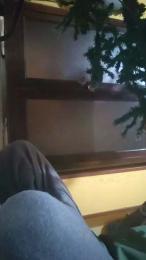 Laalzate9 webcam model stream image