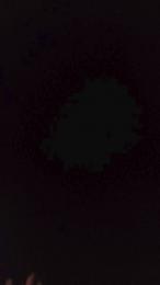 SavageXboy webcam model stream image