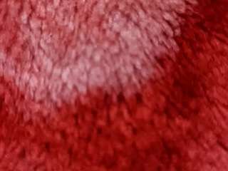 piush007 webcam model stream image