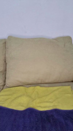 mari_ass webcam model stream image