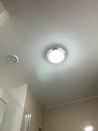 Michel_huge webcam model stream image