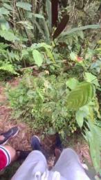 Clark_Jhonz webcam model stream image