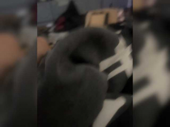 Amin-aa webcam model stream image