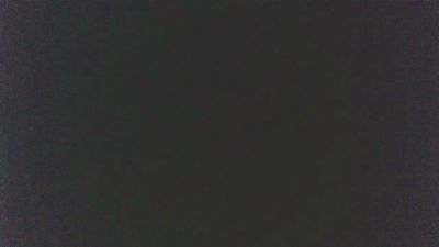 HotDogXL webcam model stream image