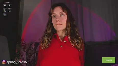 spring_forest webcam model stream image