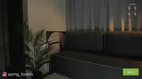 spring_forest webcam model stream image