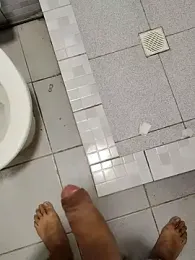 pedritolobito webcam model stream image