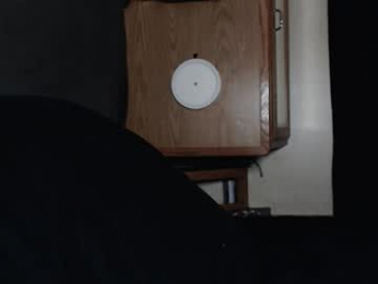 branflakes_ webcam model stream image