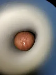 hot_dick_6_9 webcam model stream image