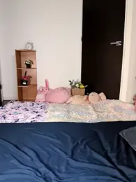 irohani_usagi webcam model stream image