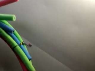 blaws235 webcam model stream image