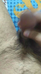 ZEFFAR87 webcam model stream image