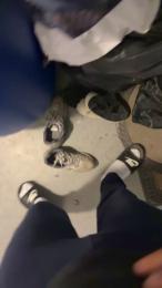 bendz5 webcam model stream image