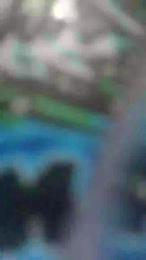Shaiel24 webcam model stream image