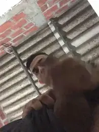 fran777775 webcam model stream image