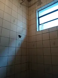 Bm19- webcam model stream image
