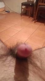 Felinoshere webcam model stream image