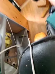 PetePro1989 webcam model stream image