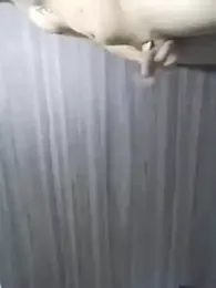 Siegfri3d__ webcam model stream image