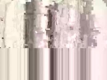 denise_brad webcam model stream image