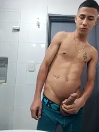 Davig4 webcam model stream image