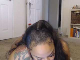 elegance webcam model stream image