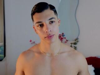 Troye Williams webcam model stream image