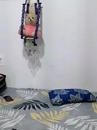 Sexyy_hott_couple webcam model stream image