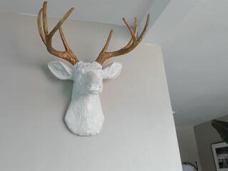 Paul Polo webcam model stream image
